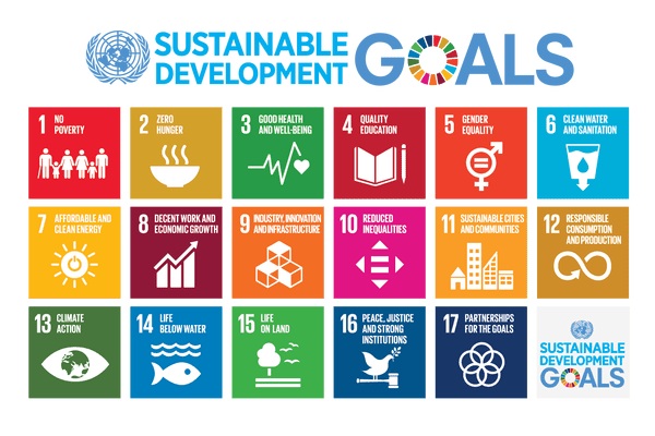 Integrating Sustainable Development Goals in Education Policy