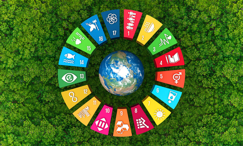 Sustainable Development Goals in Education Policy