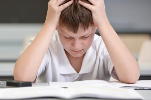 The Neuroscience of Learning: How We Absorb Information | The Good Learn